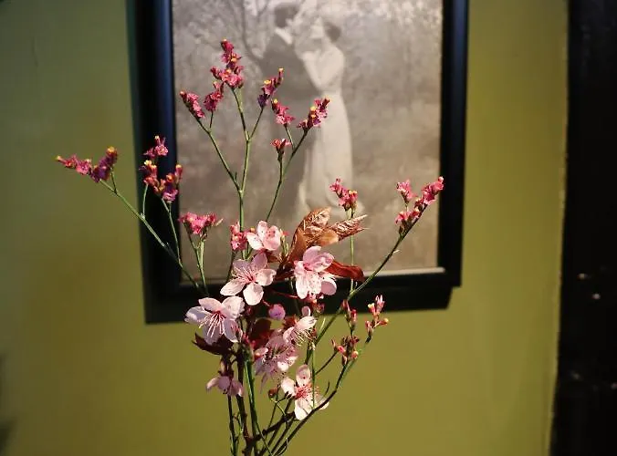 Gasthof Alban Berg Trahutten